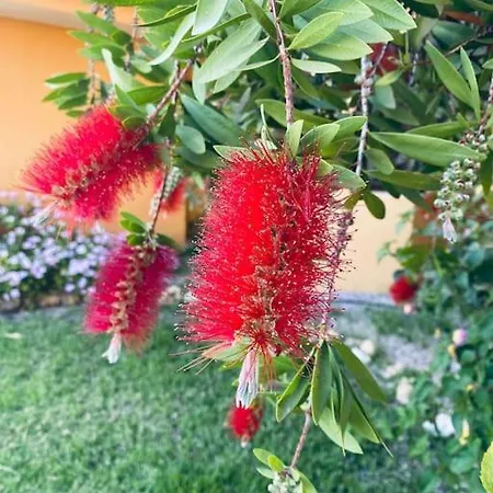 Casa De Flores 公寓