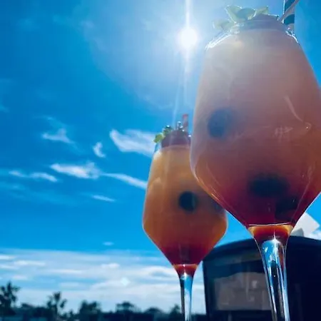 公寓 Casa De Flores 托雷维耶哈