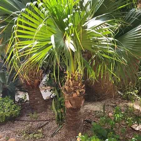 شقة Casa De Flores *