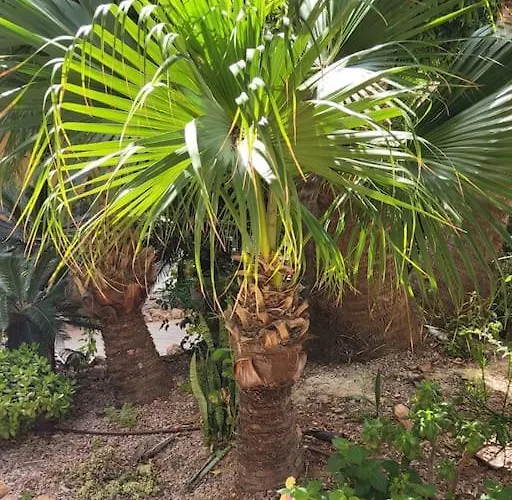 شقة Casa De Flores *